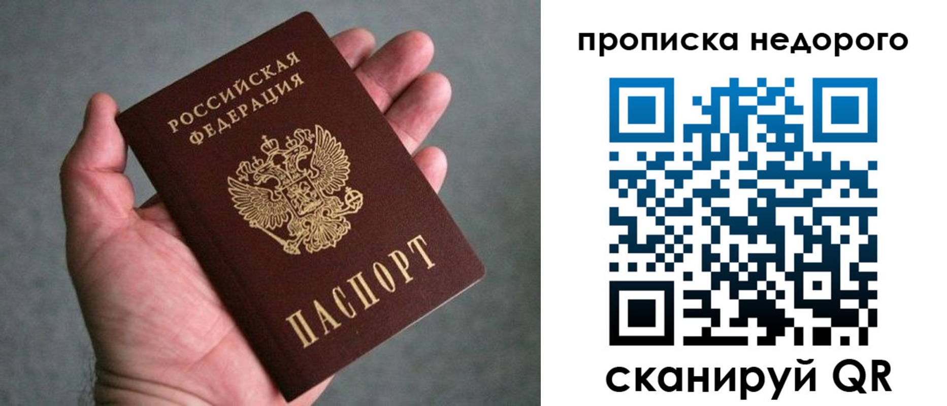прописка поиск в Лосино-Петровском